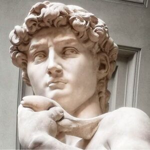 Meet your Posher, Michelangelo